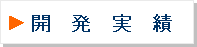 開発実績
